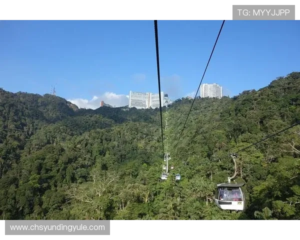 云顶赌场的数量及其分布情况全面解析，帮助游客合理规划行程