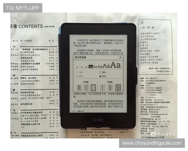 PA电子电脑版常见问题解决方案与优化设置技巧详尽介绍
